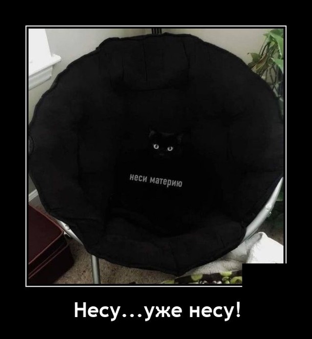 Демотиваторы среды (20 фото)