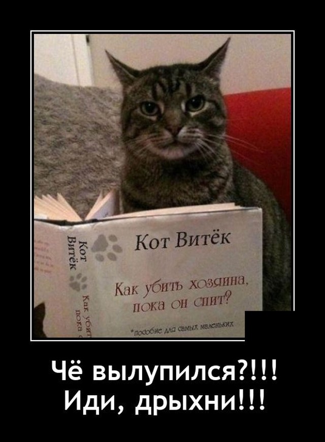 Демотиваторы среды (20 фото)