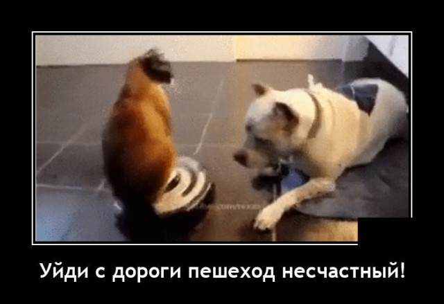 Демотиваторы четверга (20 фото)