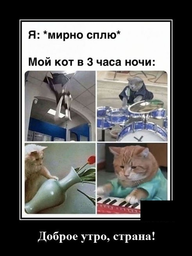 Демотиваторы четверга (20 фото)