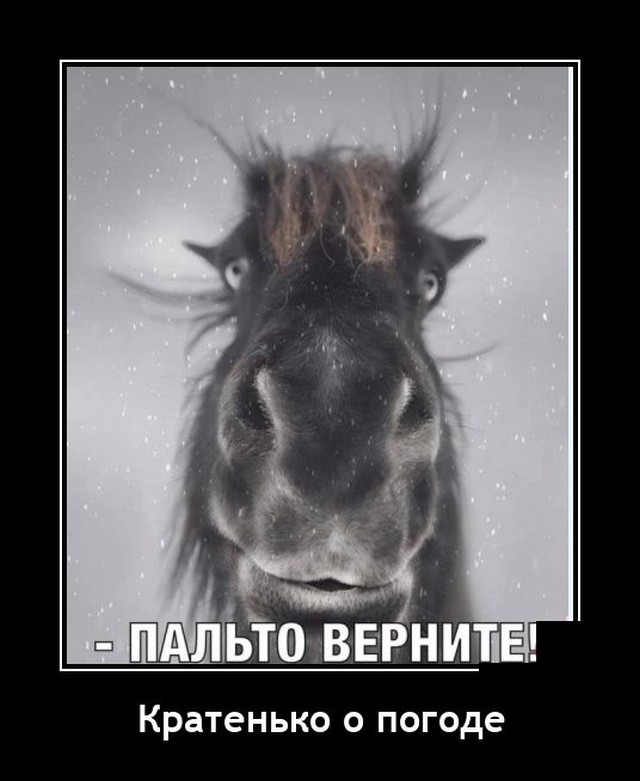 Демотиваторы среды (20 фото)