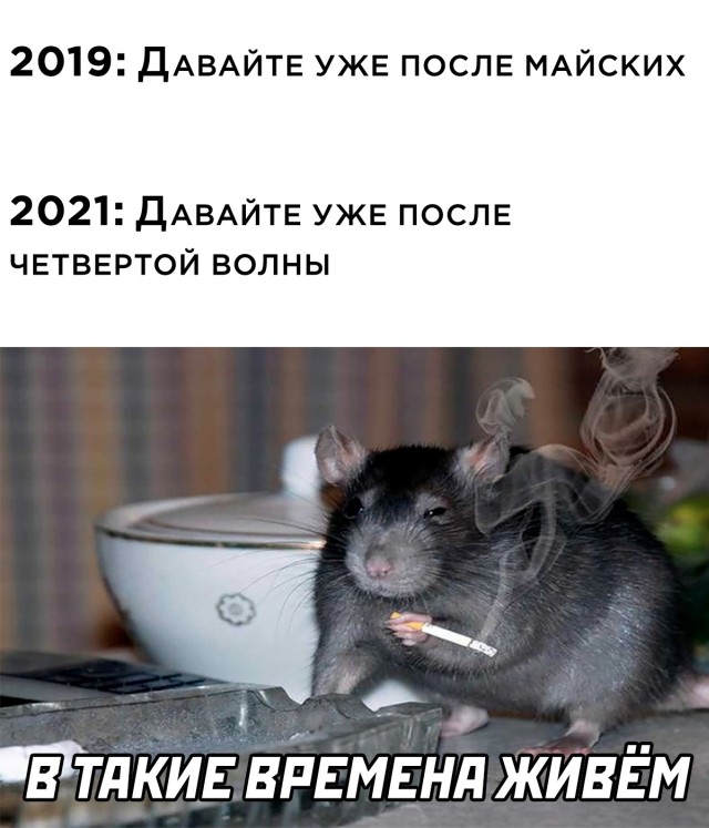 Приколы и мемасы из сети (25 фото)