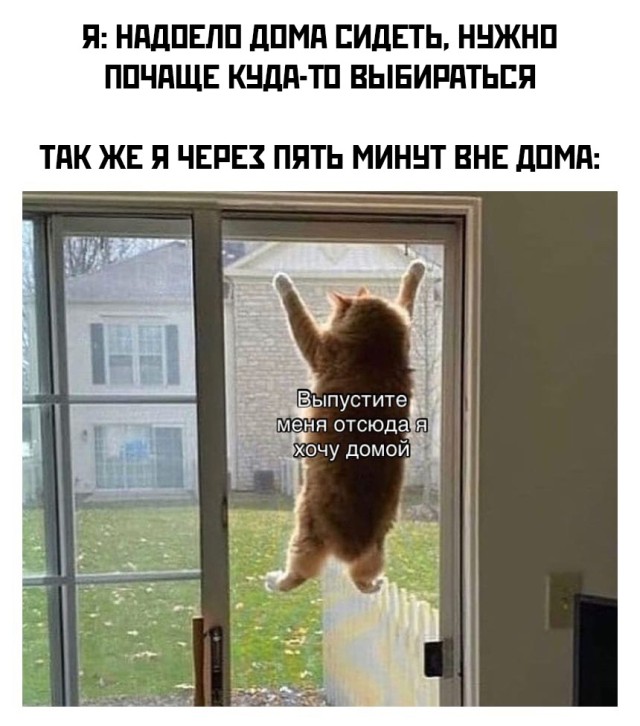 Приколы и мемасы из сети (25 фото)
