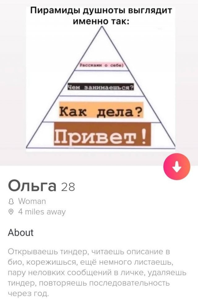    Tinder (15 )