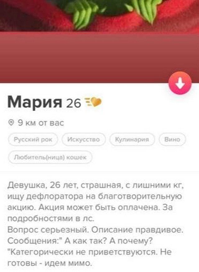    Tinder (15 )