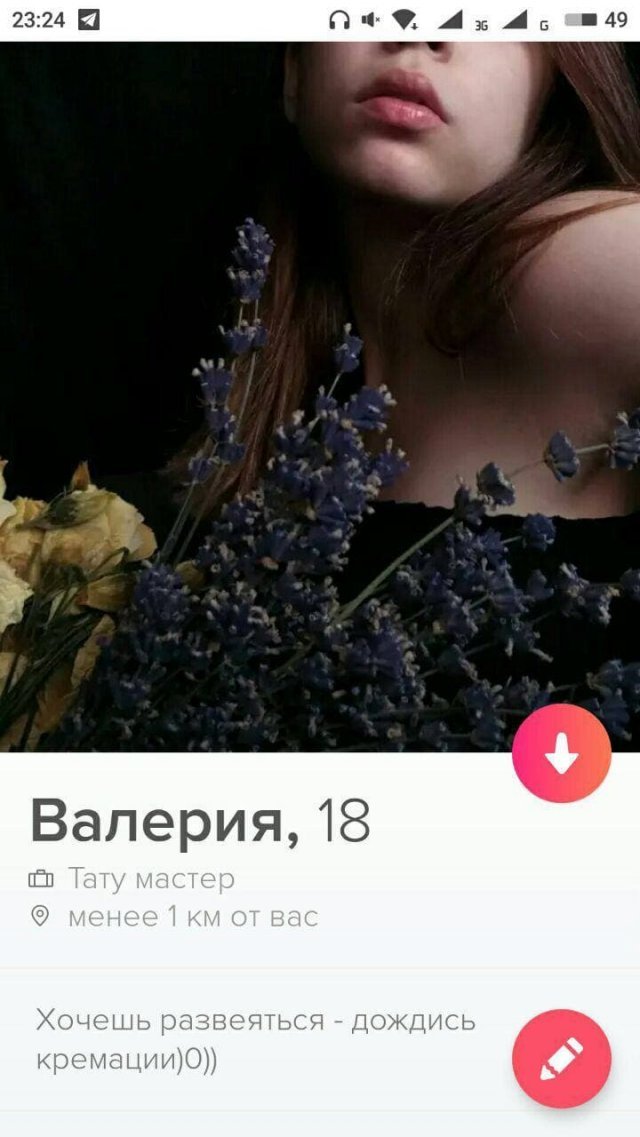    Tinder (15 )