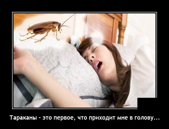 ������������ �������� (20 ����)