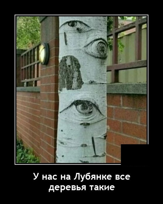 Демотиваторы четверга (20 фото)