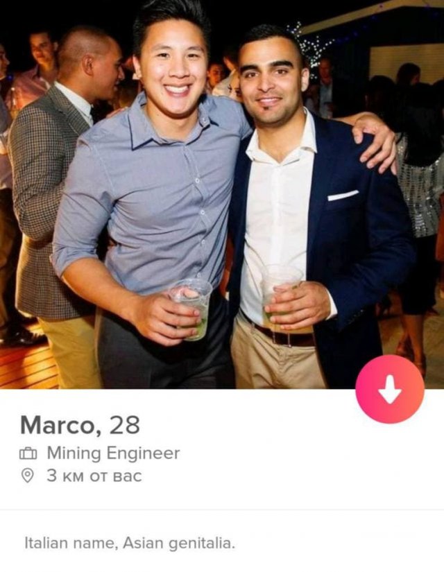    Tinder (15 )