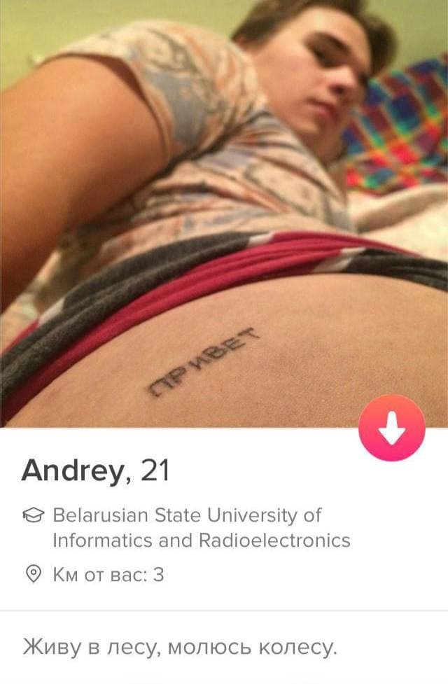    Tinder (15 )