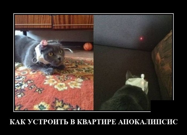 Демотиваторы понедельника (20 фото)