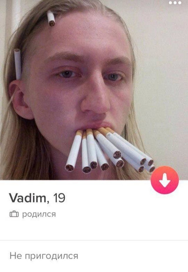    Tinder (15 )