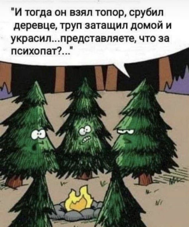 Новогодние шутки и приколы (15 фото)