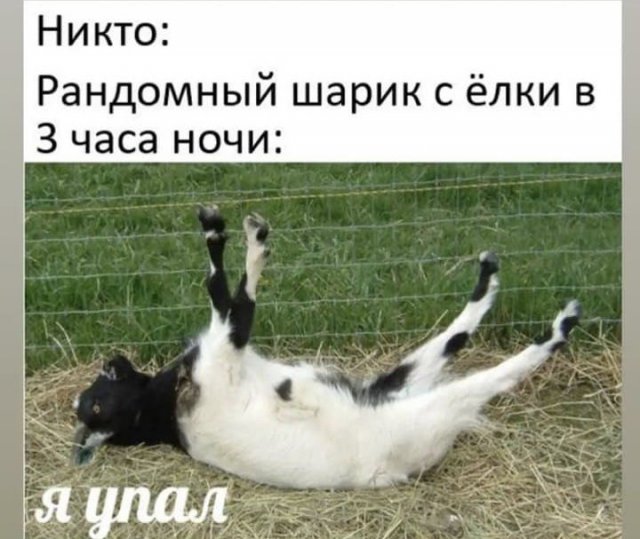 Новогодние шутки и приколы (15 фото)