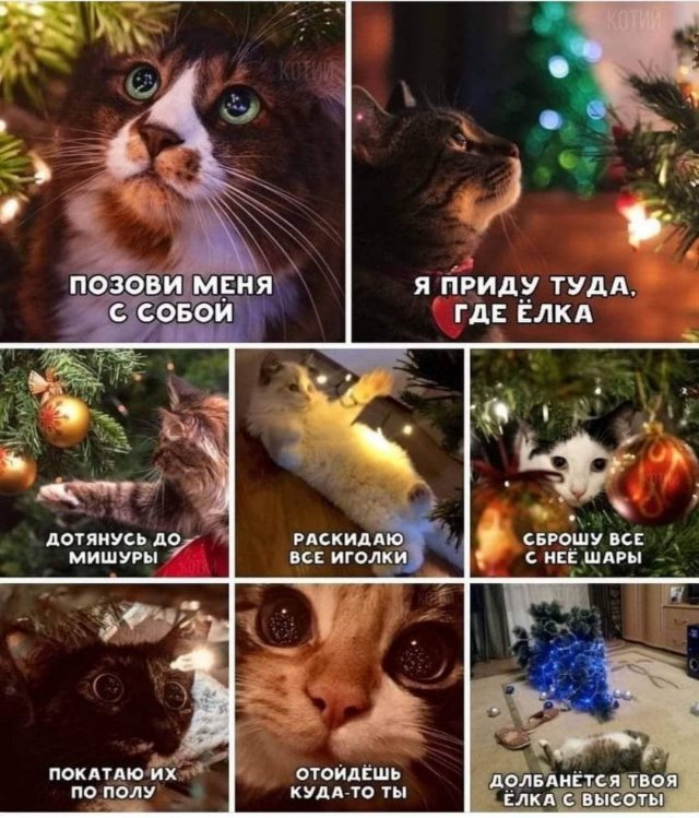 Новогодние шутки и приколы (15 фото)