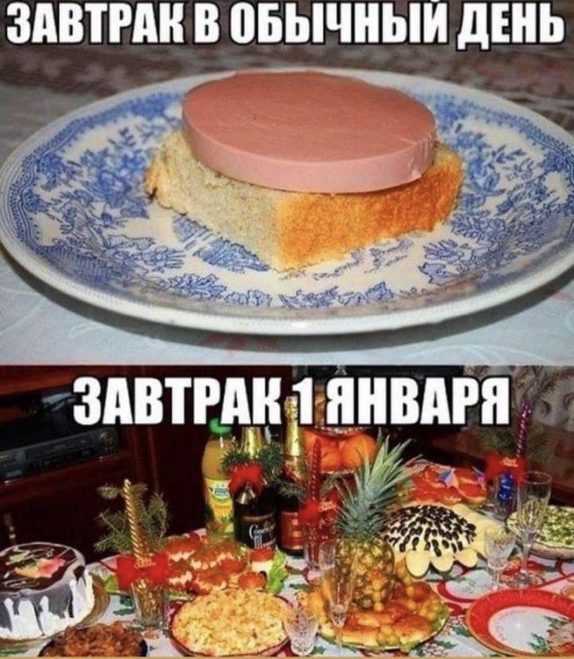 Новогодние шутки и приколы (15 фото)