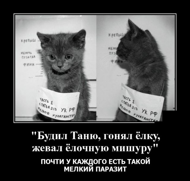 Демотиваторы четверга (20 фото)