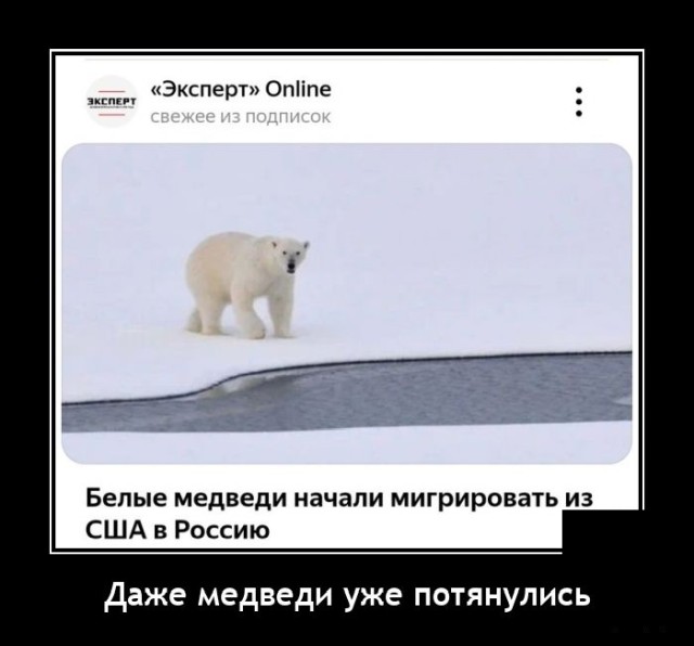 Демотиваторы вторника (20 фото)