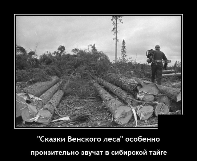 Демотиваторы вторника (20 фото)