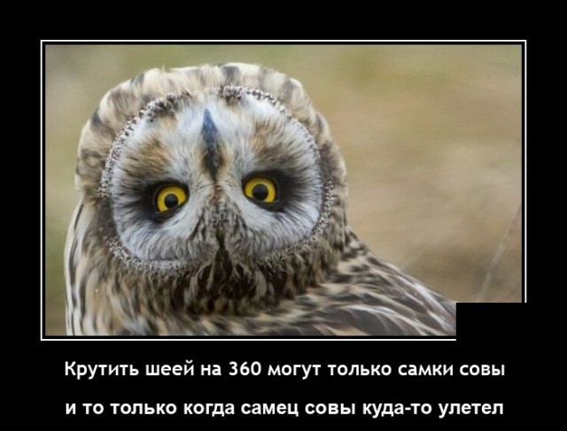 Демотиваторы вторника (20 фото)