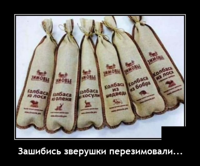 Демотиваторы пятницы (20 фото)