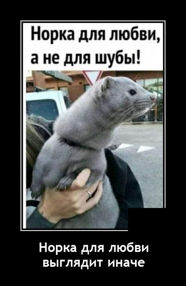 Демотиваторы пятницы (20 фото)