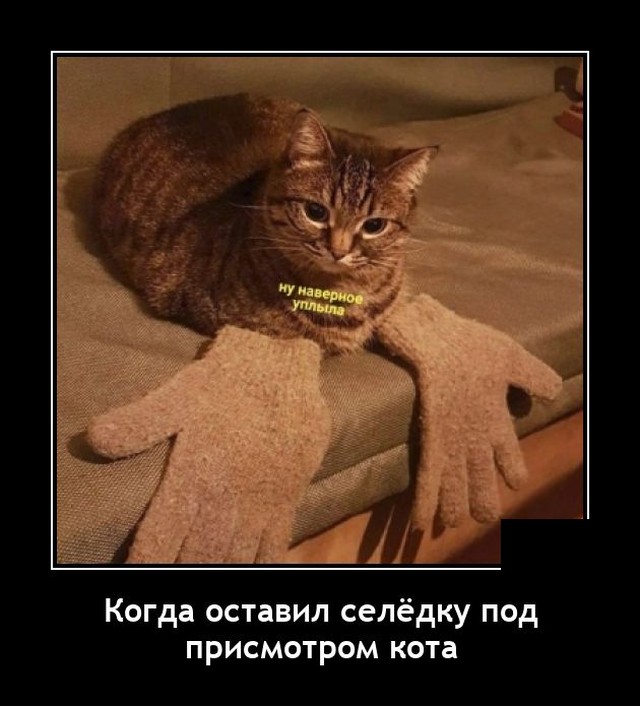 Демотиваторы понедельника (20 фото)