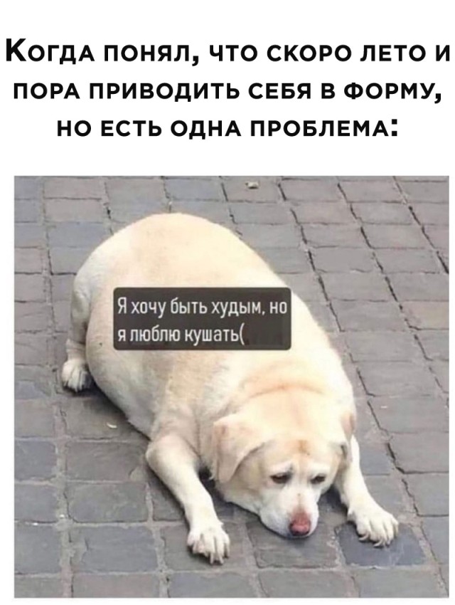 Мемы и картинки для настроения (30 фото)