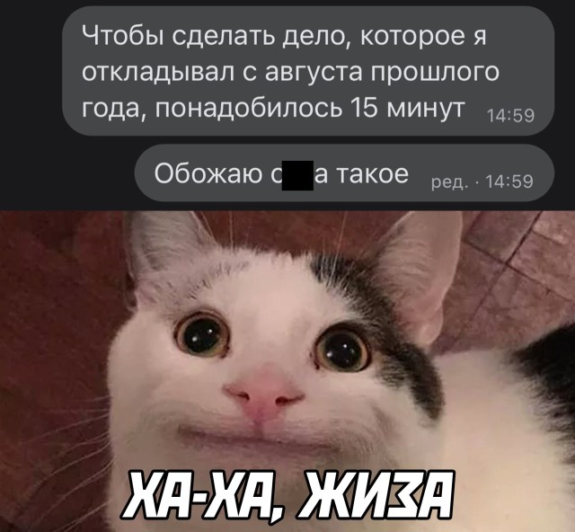 Мемы и картинки для настроения (30 фото)