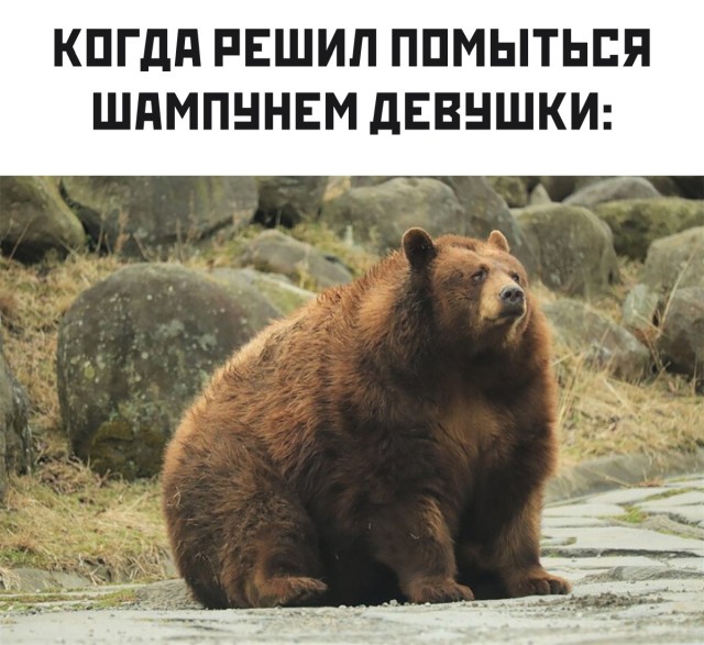 Мемы и картинки для настроения (30 фото)