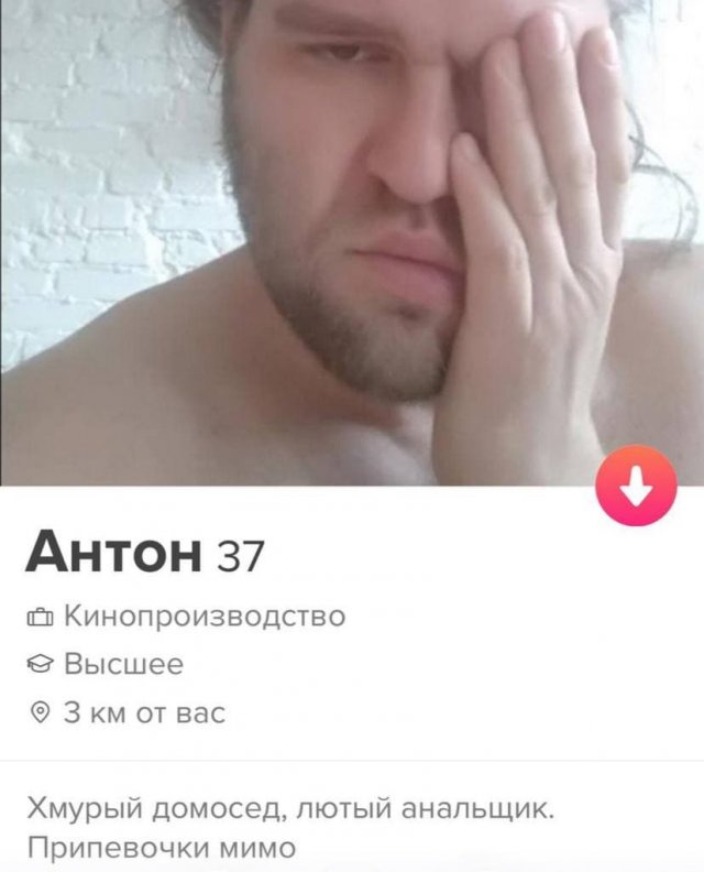    Tinder (15 )