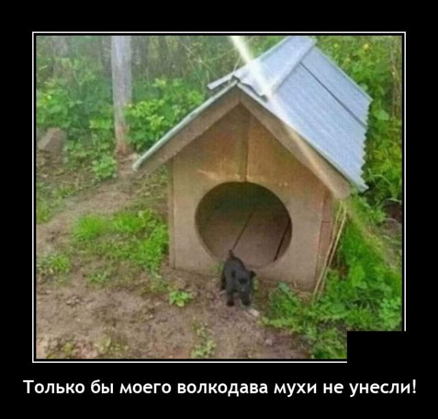 Демотиваторы вторника (20 фото)