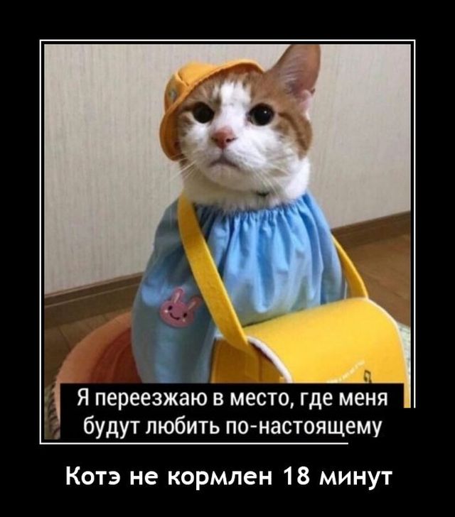 Демотиваторы вторника (20 фото)
