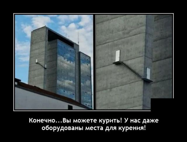 Демотиваторы вторника (20 фото)