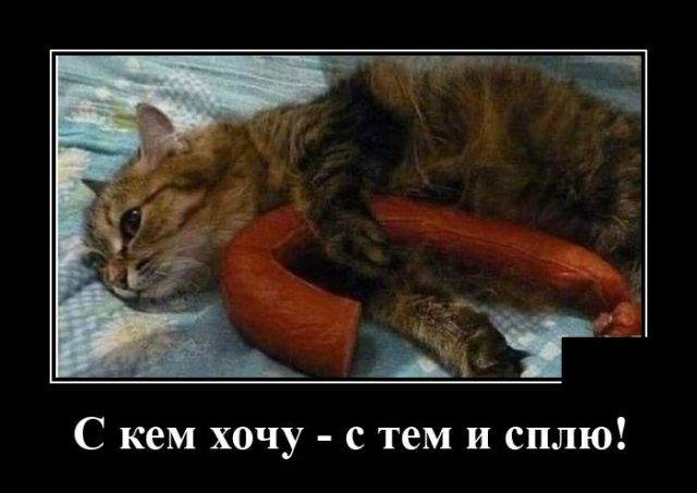 ������������ �������� (20 ����)