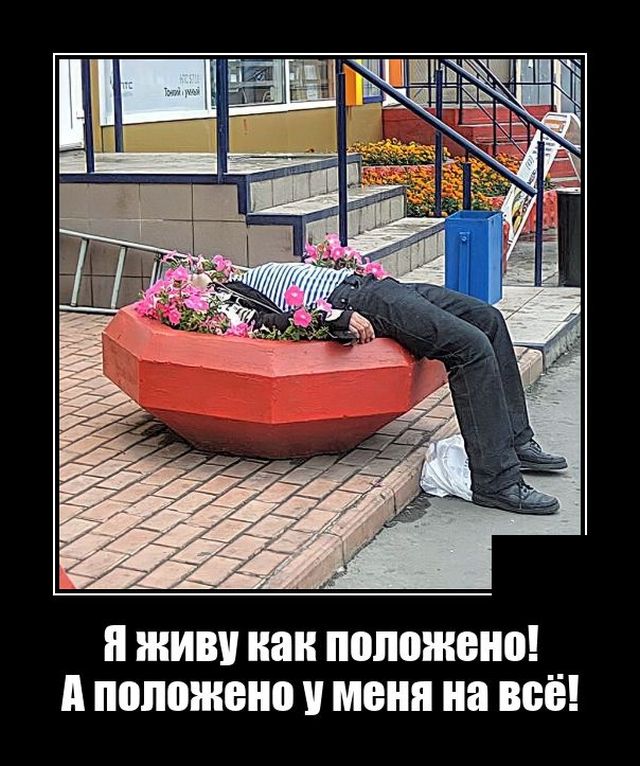 ������������ �������� (20 ����)