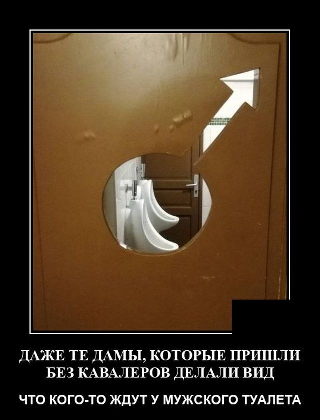 ������������ �������� (20 ����)