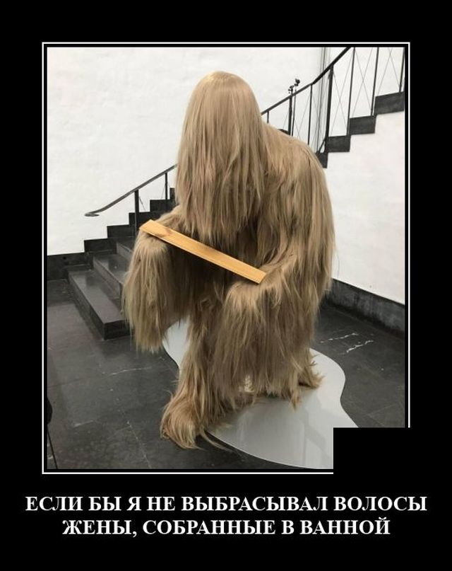 ������������ �������� (20 ����)