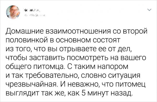 Веселый твиттер (18 фото)