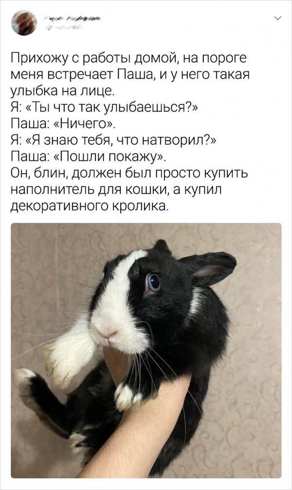 Веселый твиттер (18 фото)