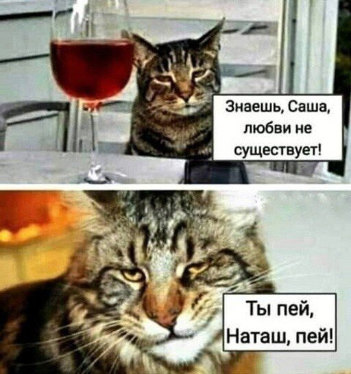 ����-����� ����� �������� (30 ����)