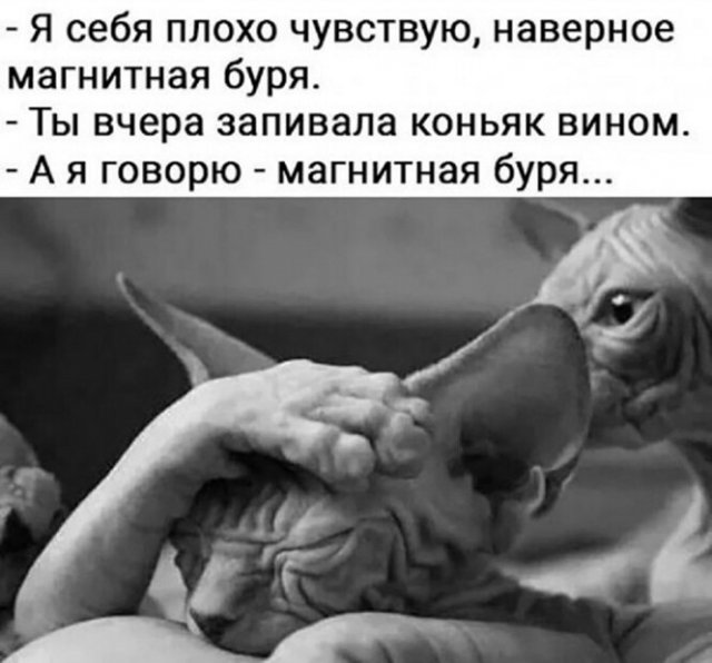 ����-����� ����� �������� (30 ����)