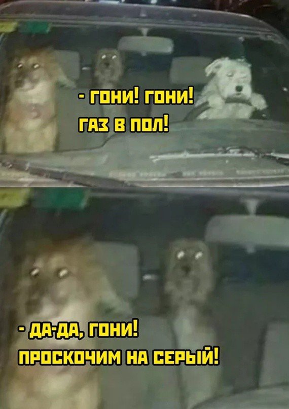 ������� ������ �������� (50 ����)