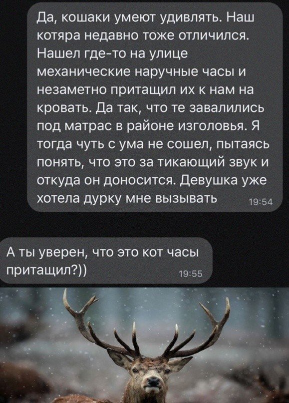 ������� ������ �������� (50 ����)