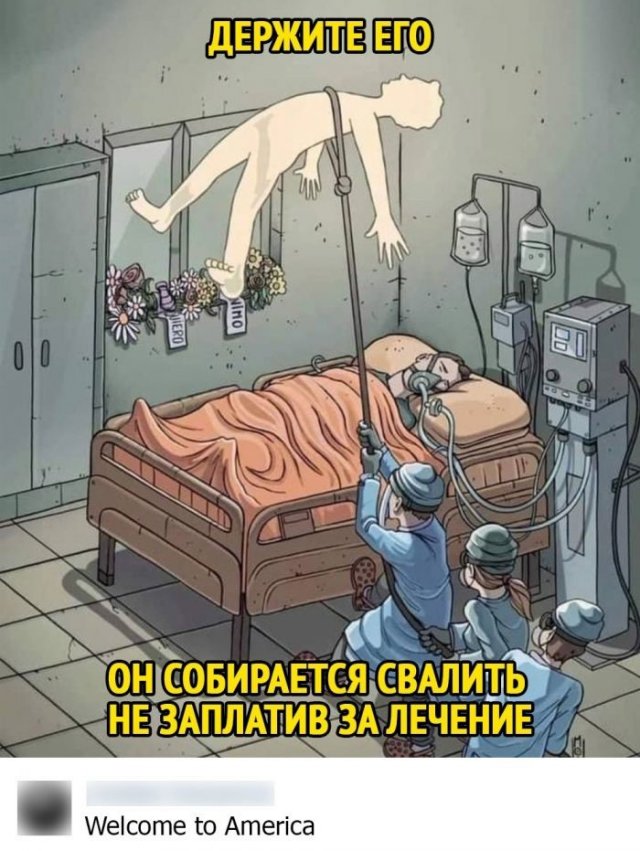 Смешные комментарии в соц сетях (15 фото)