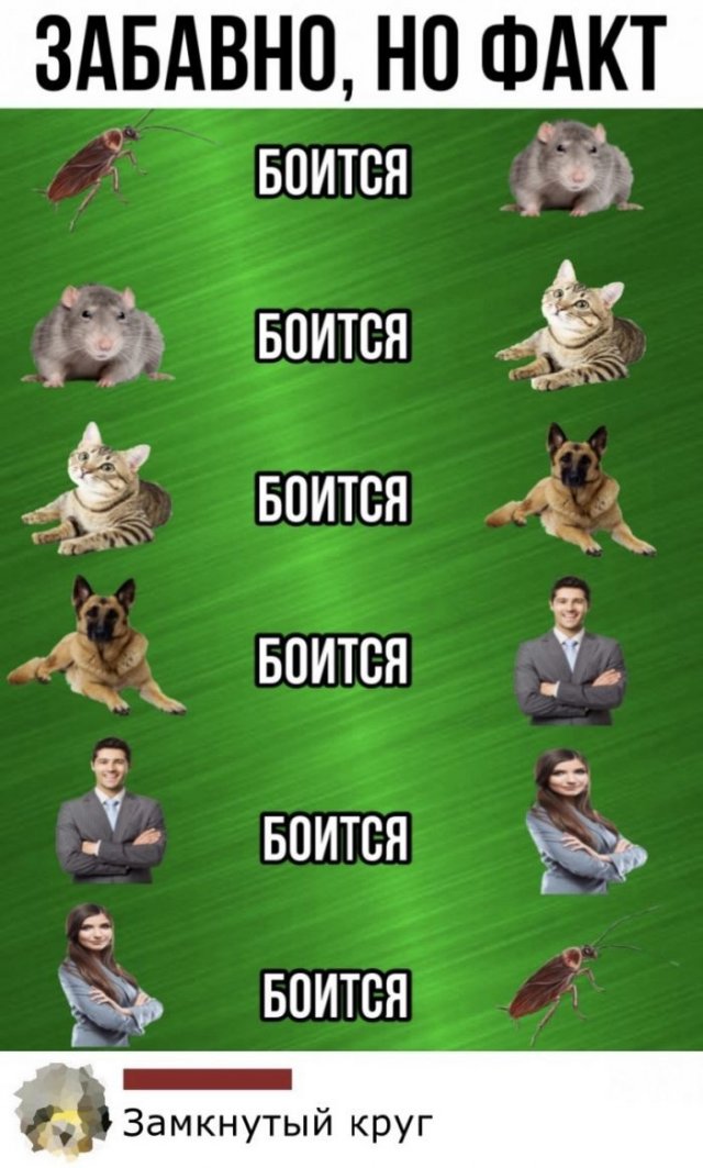 Смешные комментарии в соц сетях (15 фото)