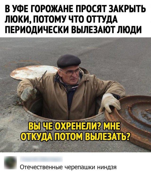Смешные комментарии в соц сетях (15 фото)