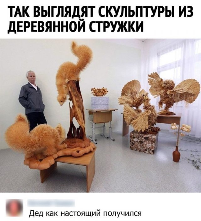 Смешные комментарии в соц сетях (15 фото)