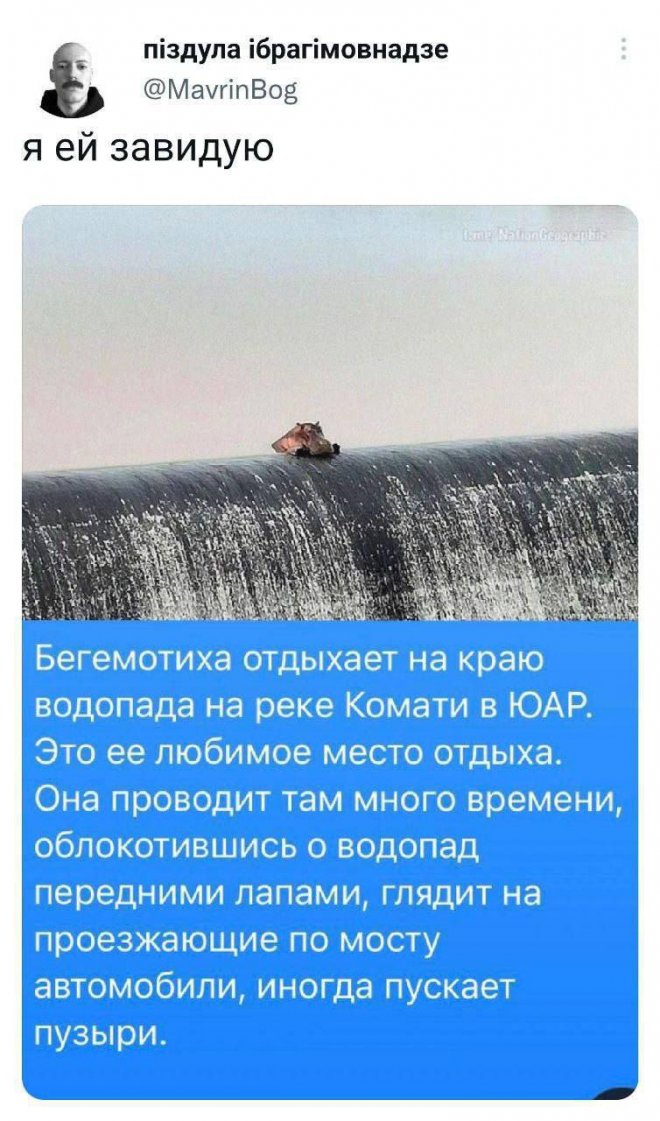 Свежие приколы и мемы из сети (25 фото)