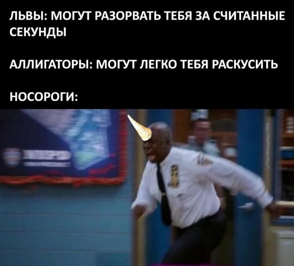 Минутка нестандартного юмора (20 фото)